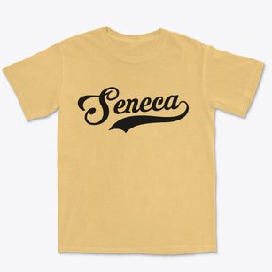 Seneca Missouri Vintage Team Premium Heavyweight T-shirt
