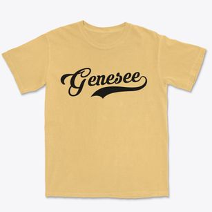 Genesee New York Vintage Team Premium Heavyweight T-shirt