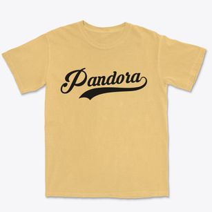 Pandora Ohio Vintage Team Premium Heavyweight T-shirt