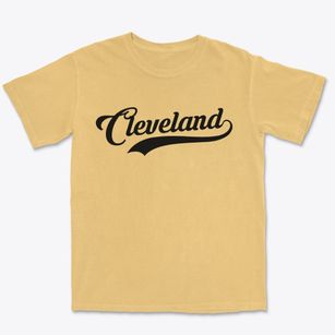 Cleveland North Carolina Vintage Team Premium Heavyweight T-shirt