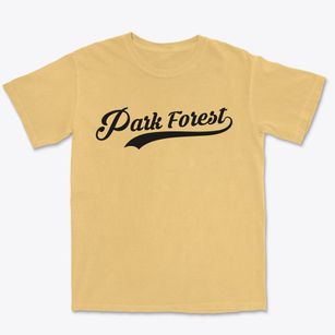 Park Forest Illinois Vintage Team Premium Heavyweight T-shirt