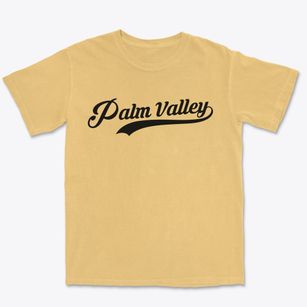 Palm Valley Florida Vintage Team Premium Heavyweight T-shirt