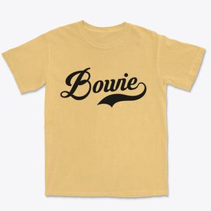 Bowie Arizona Vintage Team Premium Heavyweight T-shirt