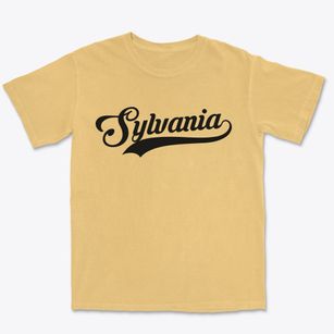 Sylvania Pennsylvania Vintage Team Premium Heavyweight T-shirt