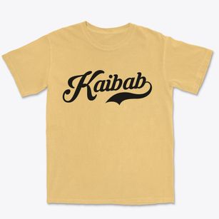 Kaibab Arizona Vintage Team Premium Heavyweight T-shirt