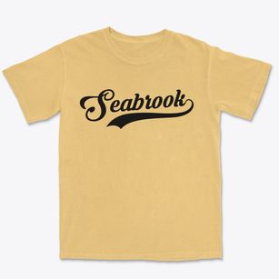 Seabrook Texas Vintage Team Premium Heavyweight T-shirt