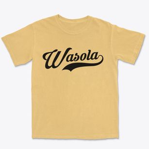 Wasola Missouri Vintage Team Premium Heavyweight T-shirt
