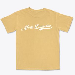 North Dansville New York Vintage Team Premium Heavyweight T-shirt