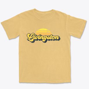 Livingston New York Sublime Sunset Premium Heavyweight T-shirt