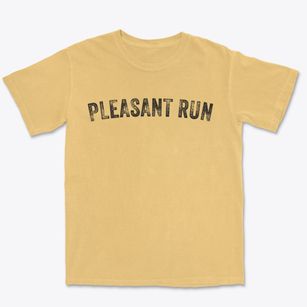 Pleasant Run Ohio Timeless Retro Premium Heavyweight T-shirt