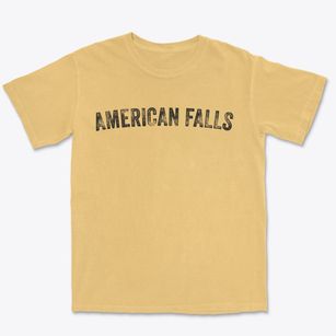 American Falls Idaho Timeless Retro Premium Heavyweight T-shirt