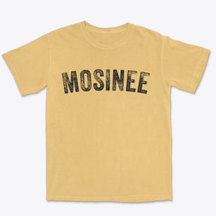Mosinee Wisconsin Timeless Retro Premium Heavyweight T-shirt