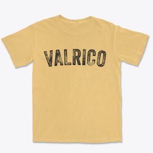 Valrico Florida Timeless Retro Premium Heavyweight T-shirt