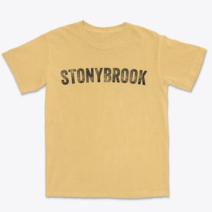 Stonybrook Pennsylvania Timeless Retro Premium Heavyweight T-shirt