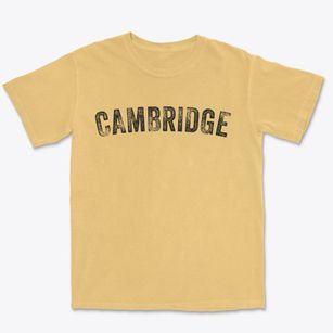 Cambridge New York Timeless Retro Premium Heavyweight T-shirt