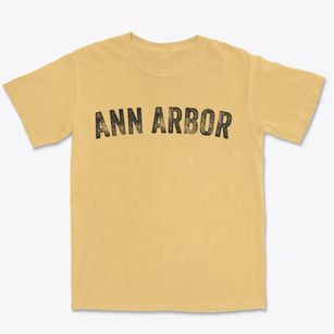 Ann Arbor Michigan Timeless Retro Premium Heavyweight T-shirt