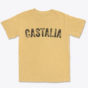 Castalia Ohio Timeless Retro Premium Heavyweight T-shirt