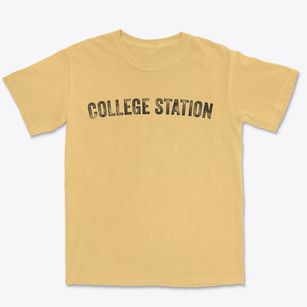 College Station Texas Timeless Retro Premium Heavyweight T-shirt