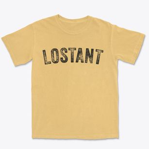 Lostant Illinois Timeless Retro Premium Heavyweight T-shirt