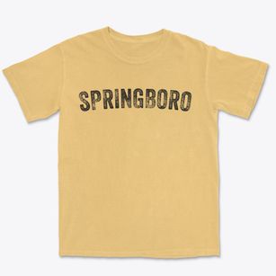 Springboro Ohio Timeless Retro Premium Heavyweight T-shirt