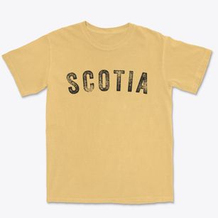 Scotia Nebraska Timeless Retro Premium Heavyweight T-shirt