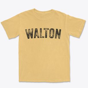 Walton Nebraska Timeless Retro Premium Heavyweight T-shirt