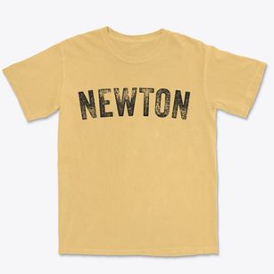 Newton Iowa Timeless Retro Premium Heavyweight T-shirt
