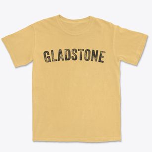 Gladstone Oregon Timeless Retro Premium Heavyweight T-shirt