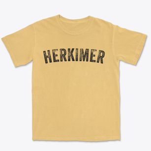 Herkimer New York Timeless Retro Premium Heavyweight T-shirt