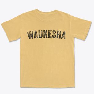 Waukesha Wisconsin Timeless Retro Premium Heavyweight T-shirt