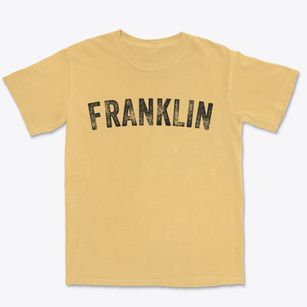 Franklin New Hampshire Timeless Retro Premium Heavyweight T-shirt