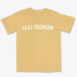 East Bronson Florida Timeless Retro Premium Heavyweight T-shirt