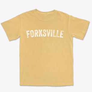 Forksville Pennsylvania Timeless Retro Premium Heavyweight T-shirt