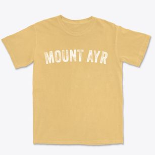 Mount Ayr Indiana Timeless Retro Premium Heavyweight T-shirt