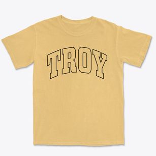 Troy Wisconsin Trendy Block Premium Heavyweight T-shirt