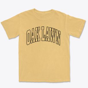 Oak Lawn Illinois Trendy Block Premium Heavyweight T-shirt