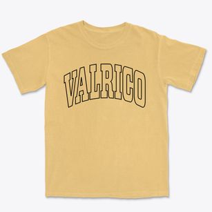Valrico Florida Trendy Block Premium Heavyweight T-shirt