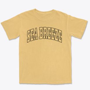 Sea Breeze North Carolina Trendy Block Premium Heavyweight T-shirt