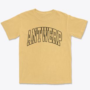 Antwerp New York Trendy Block Premium Heavyweight T-shirt