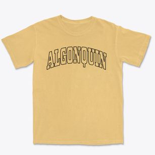 Algonquin Maryland Trendy Block Premium Heavyweight T-shirt