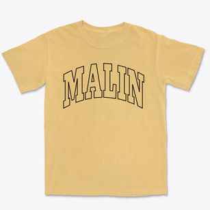 Malin Oregon Trendy Block Premium Heavyweight T-shirt