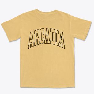 Arcadia Ohio Trendy Block Premium Heavyweight T-shirt