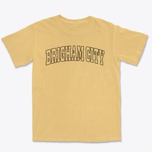 Brigham City Utah Trendy Block Premium Heavyweight T-shirt