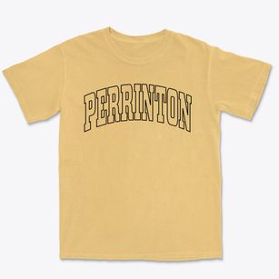 Perrinton Michigan Trendy Block Premium Heavyweight T-shirt