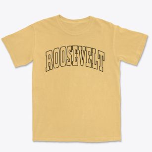 Roosevelt New York Trendy Block Premium Heavyweight T-shirt