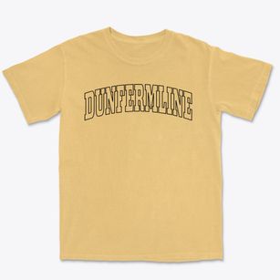 Dunfermline Illinois Trendy Block Premium Heavyweight T-shirt