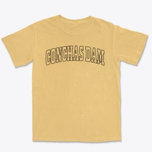 Conchas Dam New Mexico Trendy Block Premium Heavyweight T-shirt