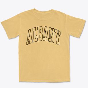 Albany Georgia Trendy Block Premium Heavyweight T-shirt