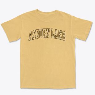 Asbury Lake Florida Trendy Block Premium Heavyweight T-shirt