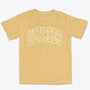 Ulysses New York Trendy Block Premium Heavyweight T-shirt